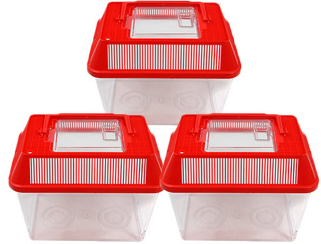 대일 사각 채집통 특대, 레드, 3개