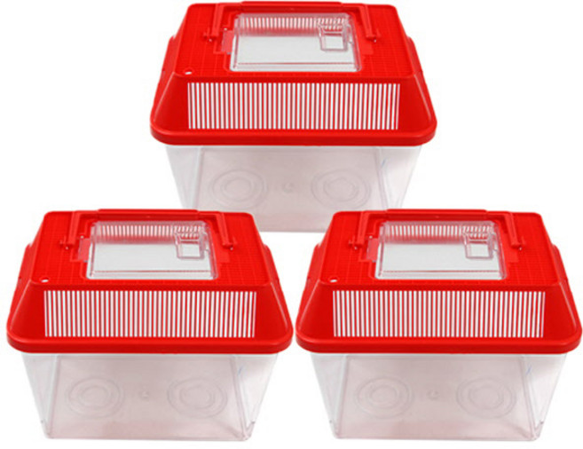 대일 채집통 소, 레드, 3개