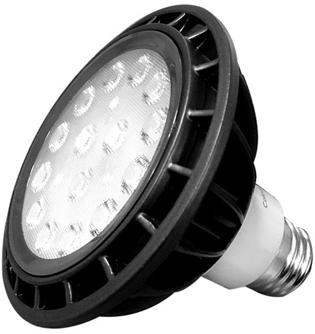 장수램프 PAR30 집중형 LED전구 15W, 전구색, 1개