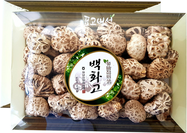 정남진장흥농협 원목 백화고 버섯세트 300g, 1세트