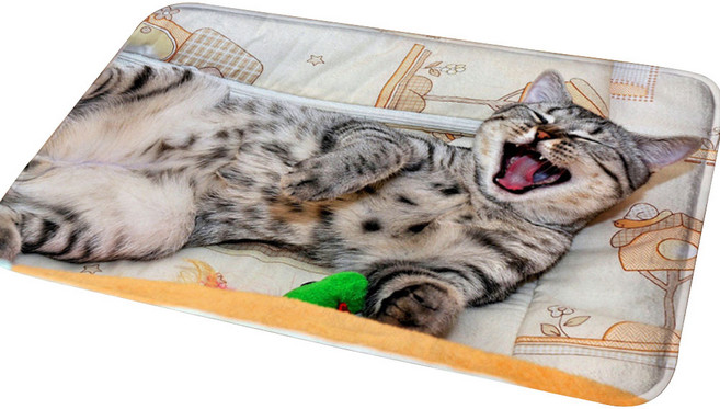 스윗리빙 해피캣츠 주방발매트 40x60cm, 슬리피, 1개