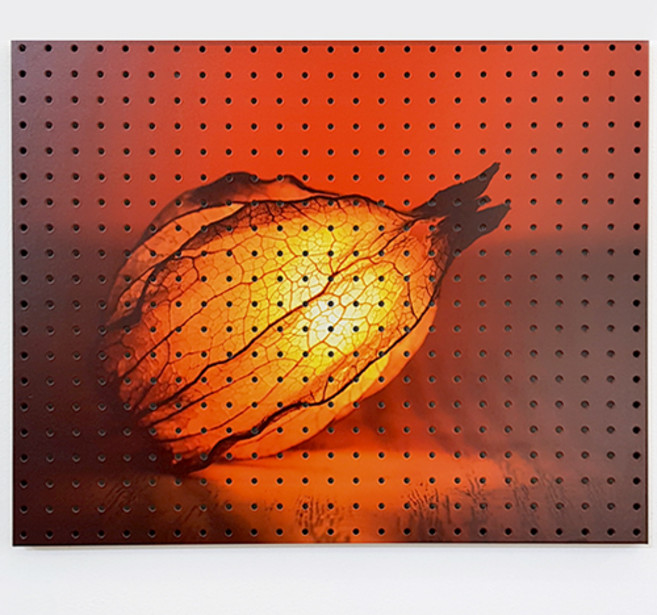 앤비커머스 인테리어 타공판 호박잎라이트 WHITE, 1개