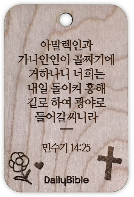 투제이 성경말씀 차량용 목걸이 Wood 민수기 14:25, 혼합 색상, 1개