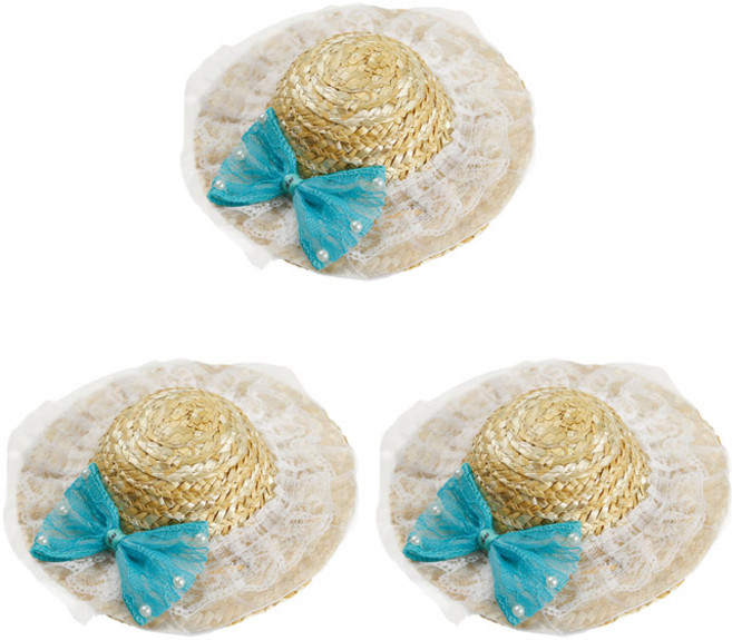 펫나인 반려동물 스트로햇 3p, H 블루리본레이스