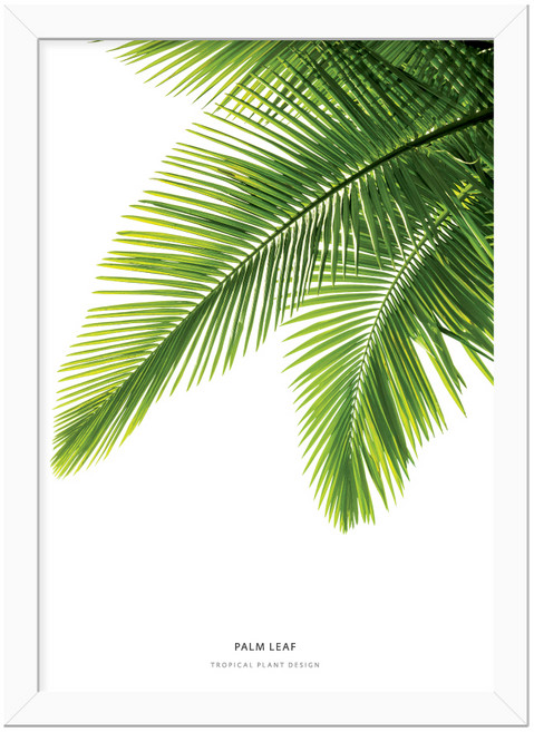 씽크어스 보타니컬 프레임 일러스트 02 팜리프B, WHITE