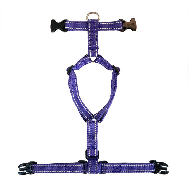 코코테일 빛반사 H형 하네스 가슴줄, 바이올렛, 1개