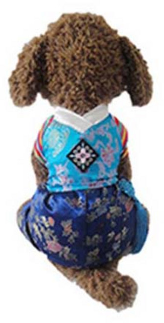 하마테 반려동물 색동한복 바지형, 블루, 1개