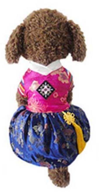 하마테 반려동물 색동한복, 레드, 1개