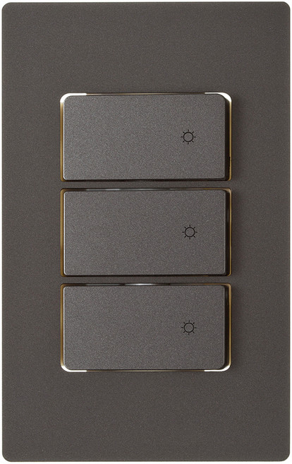 제일전기 디노 다크실버 스위치 3구, 1개