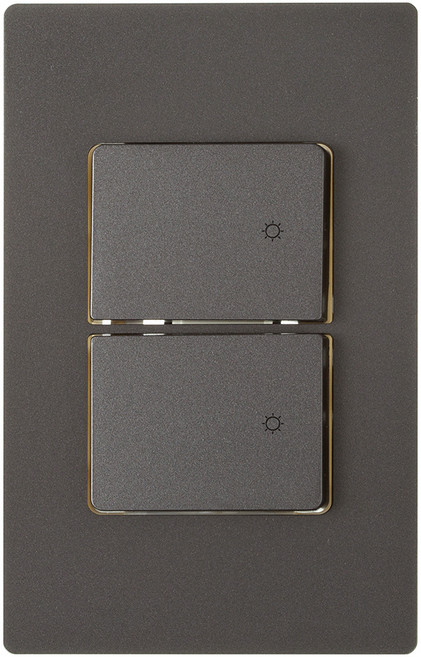 CHEIL ELECTRIC 雙開關面板 深灰色, 1個