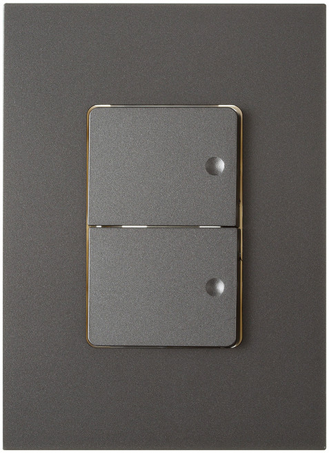 제일전기 하네스 다크실버 스위치 2구, 1개