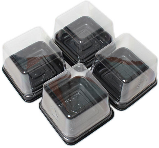 화과자 케이스 50p + 뚜껑 50p, 혼합 색상, 50세트