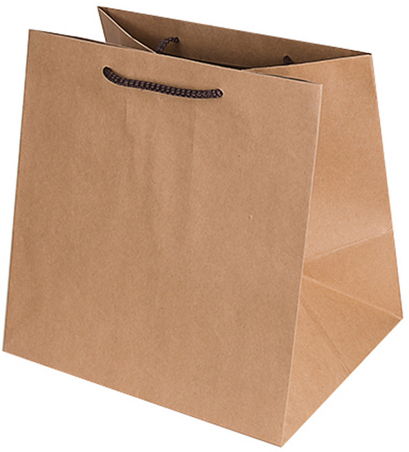 동성지공사 도시락 특대 무지 크라프트 쇼핑백 5p, 베이지색, 5개입
