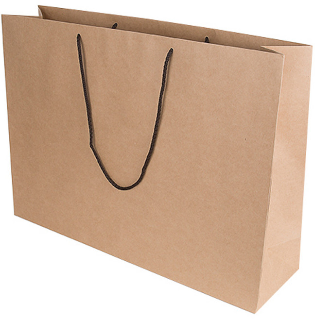 동성지공사 왕대 무지 크라프트 쇼핑백 2p, 베이지색, 2개입