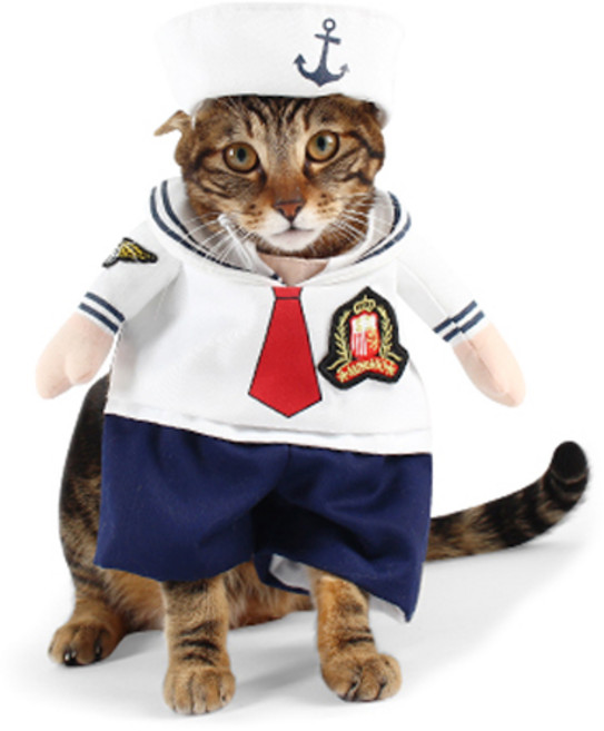 댕댕이 강아지 고양이 코스프레 인형옷, 선원, 1개