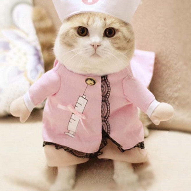 댕댕이 강아지 고양이 코스프레 인형옷, 핑크간호사, 1개