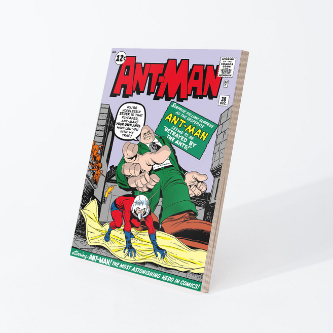 마블 앤트맨 커버아트 미니액자 17093, 혼합 색상