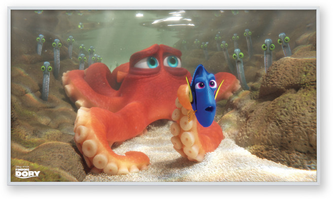 콜렉션플러스 픽사 도리를 찾아서 17040 포스터 + 메탈 액자, 화이트