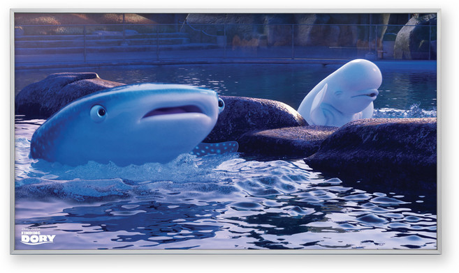 콜렉션플러스 픽사 도리를 찾아서 17044 포스터 + 메탈 액자, 실버