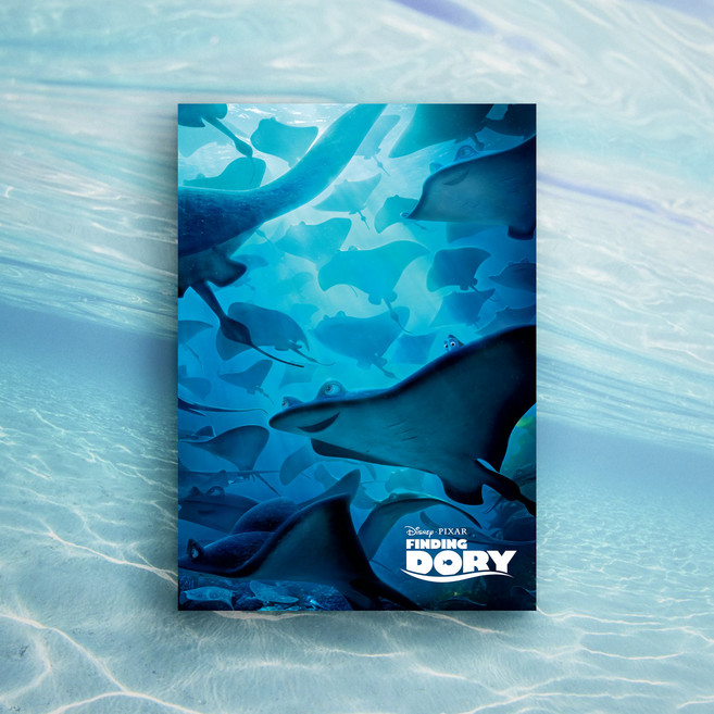 콜렉션플러스 아크릴 디아섹 액자 픽사 도리를 찾아서 17036, 500 x 700 mm