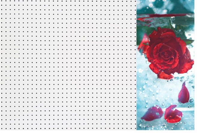 빨간장미 인테리어 타공판 우 WHITE 60 x 90 cm, 1개, 혼합색상