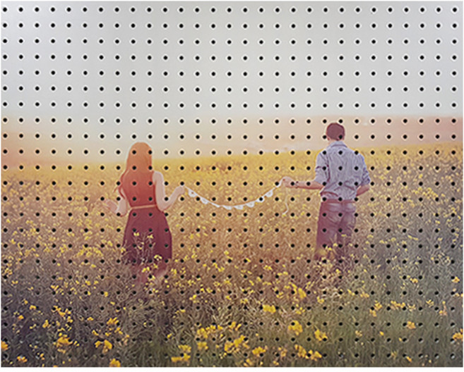 민들레커플 인테리어 타공판 Gray 600 x 500mm, 1개, 혼합색상