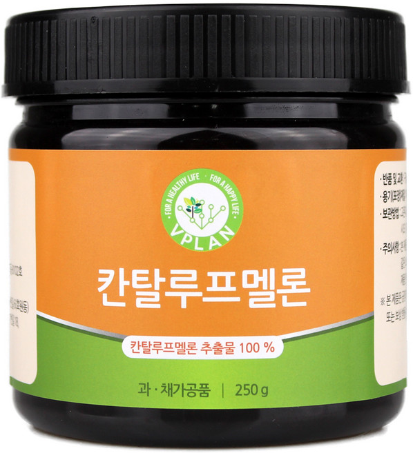 브이플랜 칸탈로프멜론 추출물 분말, 250g, 1개