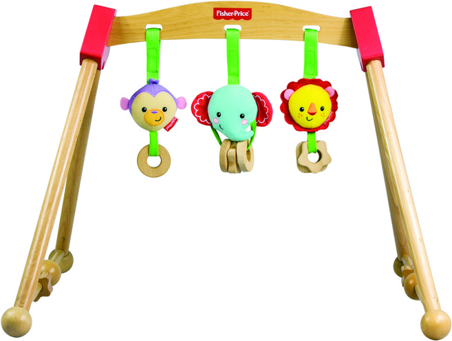 피셔프라이스 동물 아기 체육관, 혼합색상, 1개