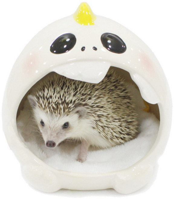 푸푸 공룡 세라믹 고슴도치 은신처 아이보리, 1개