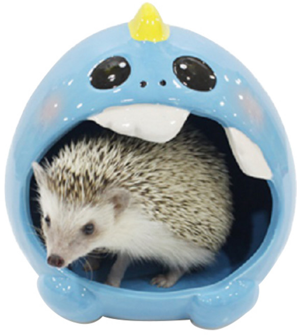 푸푸 공룡 세라믹 고슴도치 은신처 하늘, 1개