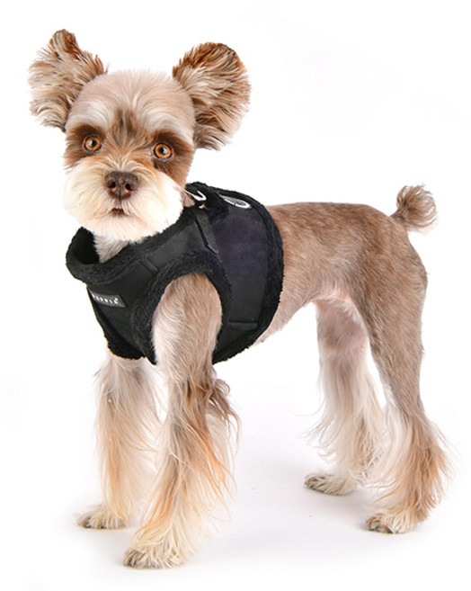 퍼피아 스웨드 겨울 강아지 하네스 가슴줄 B, BLACK, 1개