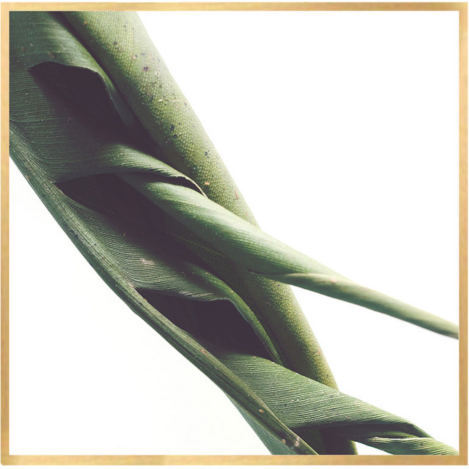 북유럽 캔버스액자 BOT0013 CA 정사각형, 메탈올리브골드