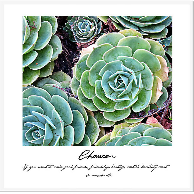 더윤 북유럽 캔버스액자 BOT0017 CA 정사각형, 메탈화이트