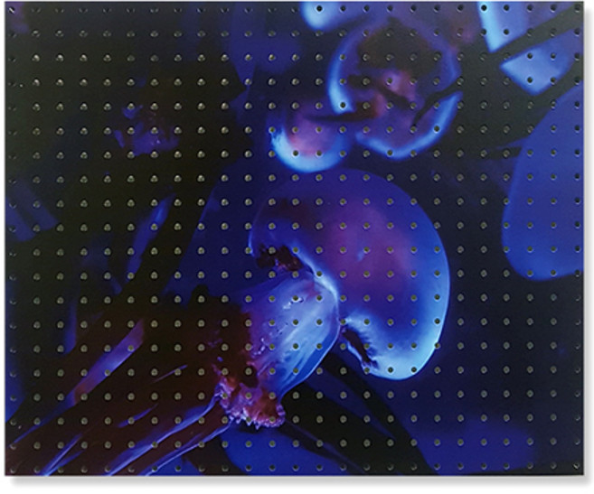 앤비커머스 인테리어 타공판 신비한해파리 White, 1개, 혼합 색상