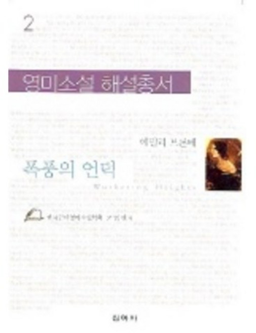 폭풍의 언덕, 신아사, 고영란 저