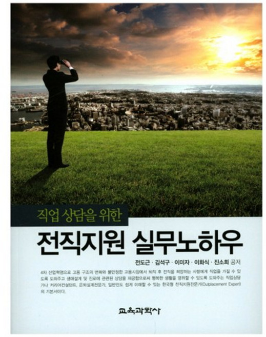 직업 상담을 위한 전직지원 실무노하우, 교육과학사, 진소희