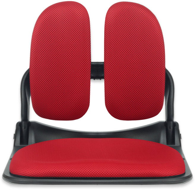 체어클럽 이편한의자 블랙프레임 접이식 듀얼 좌식의, 와인