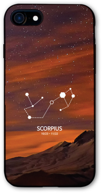 바니몽 워더컨스텔레이션 별자리 카드미러 도어범퍼 휴대폰 케이스