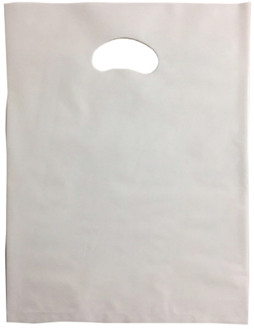 팩스타 펀칭 비닐 포장봉투 가로 25cm x 세로 35cm PE25, 백색, 50개입