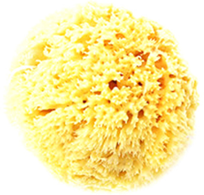 라그랑 해면 XL + 건조 집게, 1세트