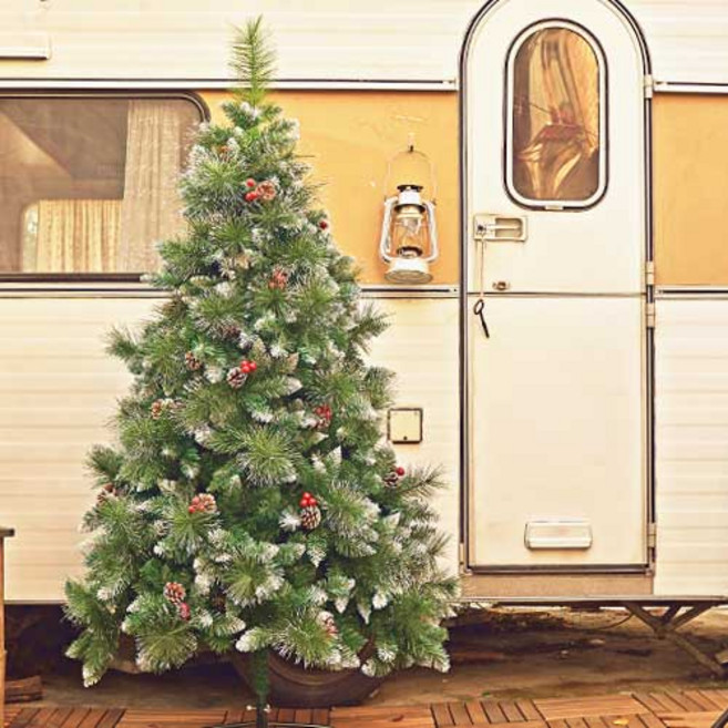 노스아일랜드 북유럽형 스노우트리, 혼합 색상