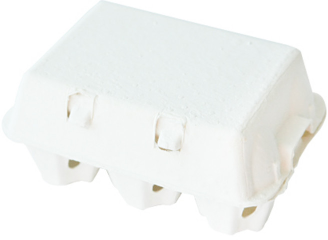 계란상자 에그박스 6구, 화이트, 10개