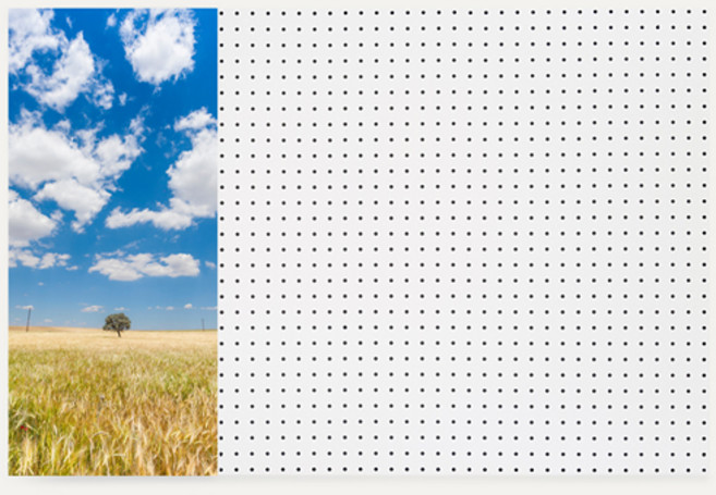 스카이29 인테리어 타공판 좌WHITE 60 x 90cm, 1개, 혼합색상