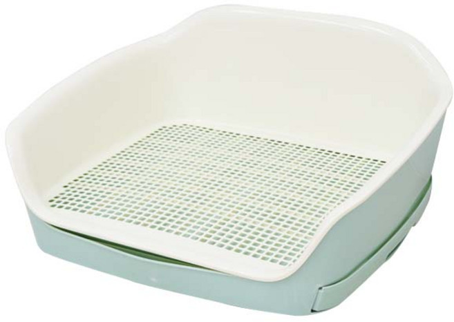 레드퍼피 반려견 아이쉬 점보 배변판 대형, 밀크민트, 1개