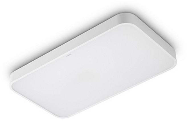 PHILIPS 飛利浦 LED室內燈 40W 6500K, 晝光色