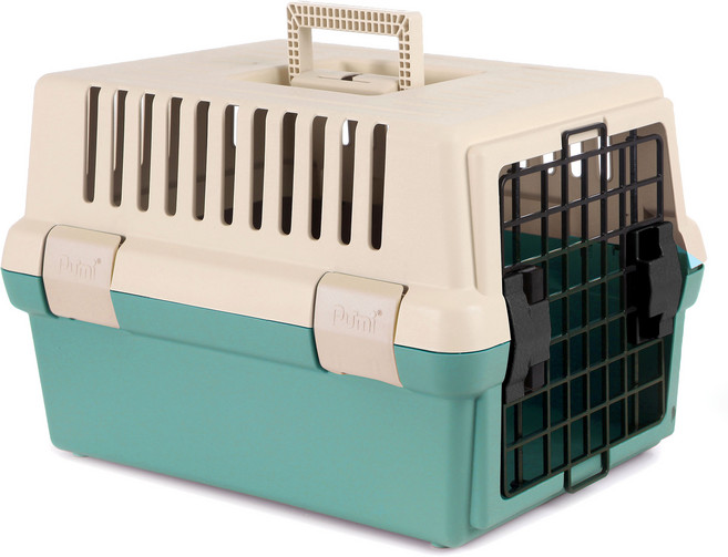 푸르미 반려동물 전용 하드형 이동장, 민트, 1개