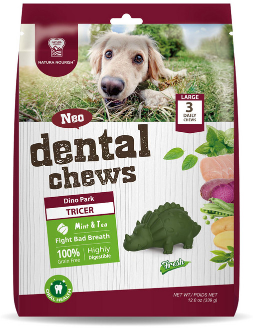 나츄라노리쉬 덴탈츄 공룡 트리케친구 강아지 껌 339g, 민트맛, 1개