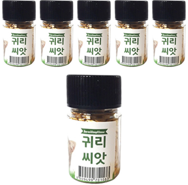 힐링타임 캣그라스 씨앗, 귀리, 6개