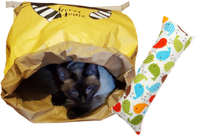 힐링타임 고양이 시크릿 페이퍼하우스 NH-061 + 캣닢쿠션 대 랜덤 발송, 블랙 + 옐로우, 1개