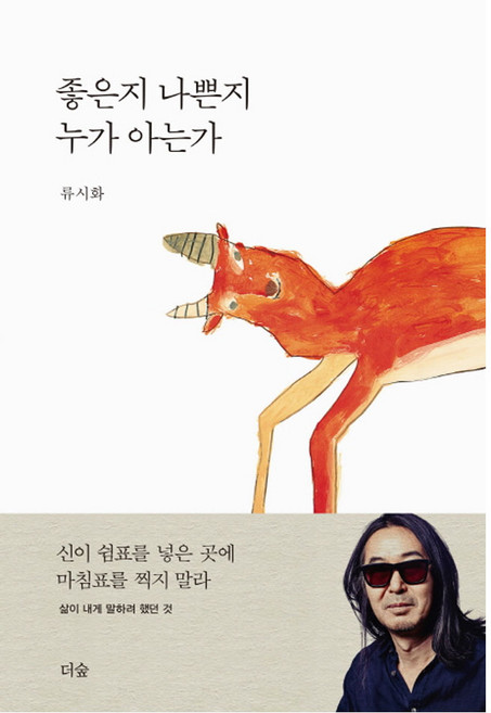 좋은지 나쁜지 누가 아는가, 더숲, 류시화 저
